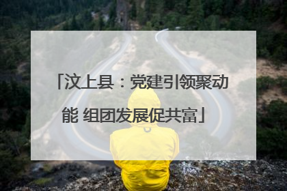 汶上县：党建引领聚动能 组团发展促共富