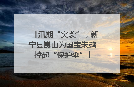 汛期“突袭”，新宁县崀山为国宝朱鹮撑起“保护伞”
