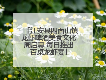 江安县四面山镇龙虾啤酒美食文化周启幕 每日推出百桌龙虾宴