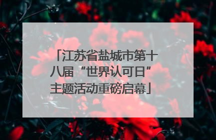 江苏省盐城市第十八届“世界认可日”主题活动重磅启幕