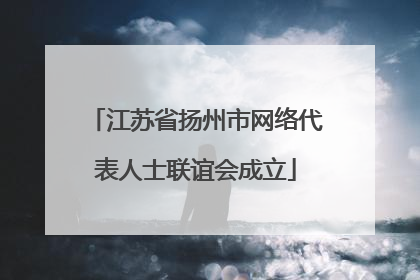 江苏省扬州市网络代表人士联谊会成立