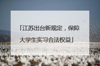 江苏出台新规定，保障大学生实习合法权益