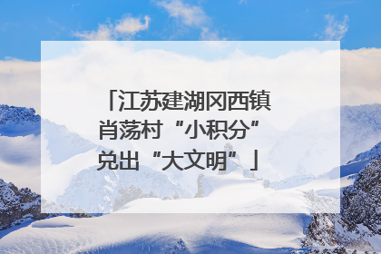 江苏建湖冈西镇肖荡村“小积分”兑出“大文明”