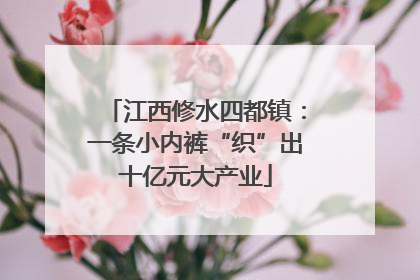 江西修水四都镇：一条小内裤“织”出十亿元大产业
