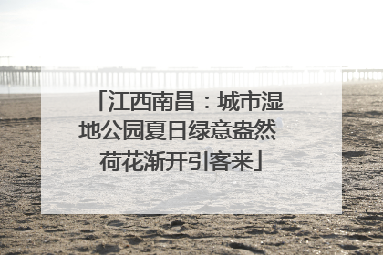 江西南昌：城市湿地公园夏日绿意盎然 荷花渐开引客来