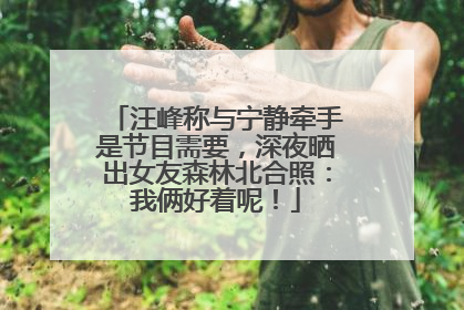 汪峰称与宁静牵手是节目需要，深夜晒出女友森林北合照：我俩好着呢！