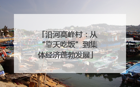 沿河高峰村：从“靠天吃饭”到集体经济蓬勃发展