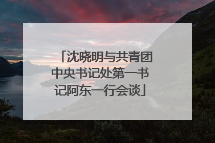 沈晓明与共青团中央书记处第一书记阿东一行会谈