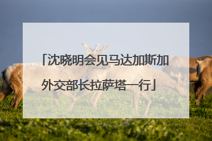 沈晓明会见马达加斯加外交部长拉萨塔一行
