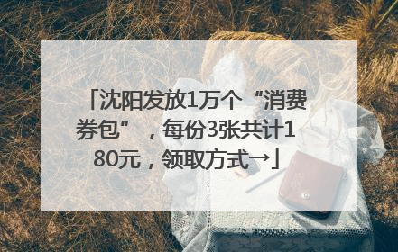 沈阳发放1万个“消费券包”，每份3张共计180元，领取方式→
