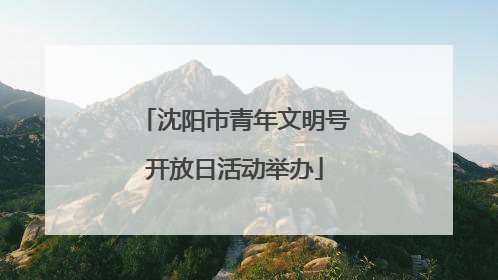 沈阳市青年文明号开放日活动举办