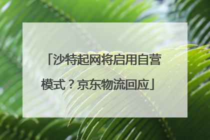 沙特起网将启用自营模式？京东物流回应