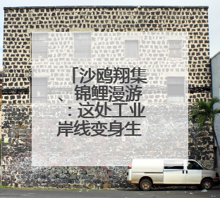 沙鸥翔集、锦鲤漫游：这处工业岸线变身生态长廊