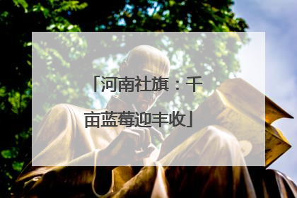 河南社旗：千亩蓝莓迎丰收