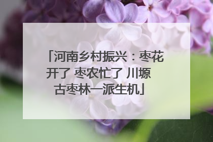 河南乡村振兴：枣花开了 枣农忙了 川塬古枣林一派生机