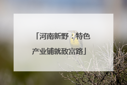 河南新野：特色产业铺就致富路