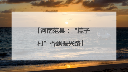 河南范县：“粽子村”香飘振兴路