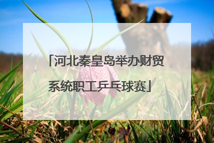 河北秦皇岛举办财贸系统职工乒乓球赛