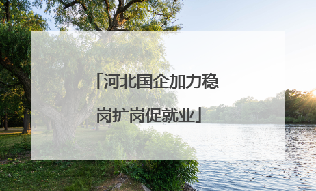 河北国企加力稳岗扩岗促就业