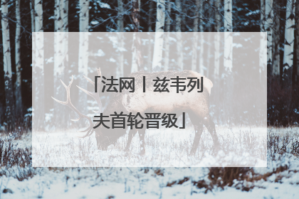 法网丨兹韦列夫首轮晋级