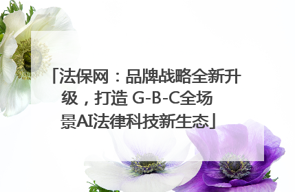 法保网：品牌战略全新升级，打造 G-B-C全场景AI法律科技新生态