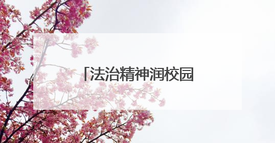 法治精神润校园 洪山十二小师生共学民法典