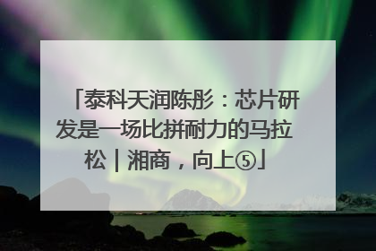泰科天润陈彤：芯片研发是一场比拼耐力的马拉松｜湘商，向上⑤
