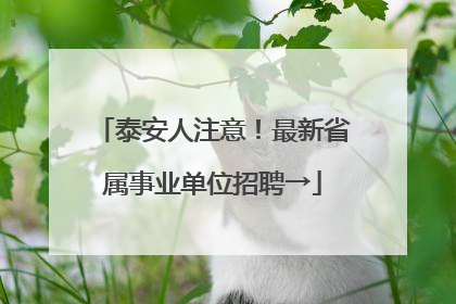 泰安人注意！最新省属事业单位招聘→