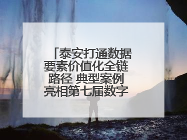 泰安打通数据要素价值化全链路径 典型案例亮相第七届数字中国建设峰会