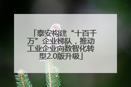 泰安构建“十百千万”企业梯队，推动工业企业向数智化转型2.0版升级
