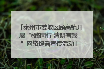 泰州市姜堰区顾高镇开展“e路同行 清朗有我”网络辟谣宣传活动