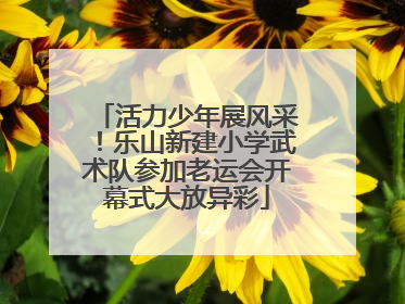 活力少年展风采！乐山新建小学武术队参加老运会开幕式大放异彩