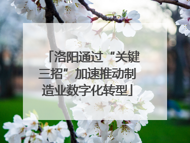 洛阳通过“关键三招”加速推动制造业数字化转型