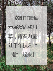 洛阳非遗展示展演活动启幕，青春力量让千年技艺“潮” 起来