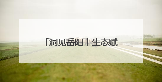 洞见岳阳丨生态赋能 文化铸魂 国际出圈——岳阳文旅何以吸引世界目光？
