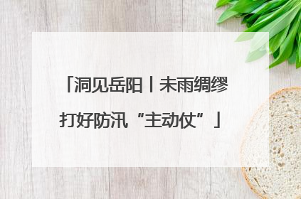 洞见岳阳丨未雨绸缪 打好防汛“主动仗”