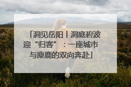洞见岳阳丨洞庭碧波迎“归客”：一座城市与麋鹿的双向奔赴