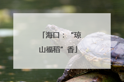 海口：“琼山福稻”香