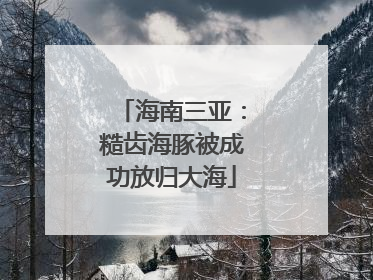 海南三亚：糙齿海豚被成功放归大海