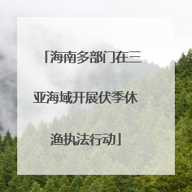 海南多部门在三亚海域开展伏季休渔执法行动