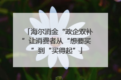 海尔消金“政企双补”让消费者从“想要买”到“买得起”