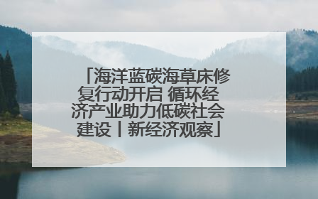 海洋蓝碳海草床修复行动开启 循环经济产业助力低碳社会建设丨新经济观察