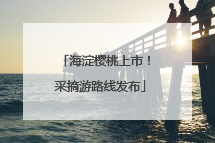 海淀樱桃上市！采摘游路线发布