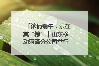 浓情端午，乐在其“粽”｜山东移动菏泽分公司举行端午节主题活动