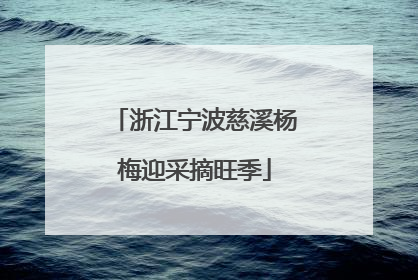 浙江宁波慈溪杨梅迎采摘旺季