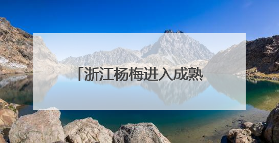 浙江杨梅进入成熟上市期 今年总产量预计74万吨