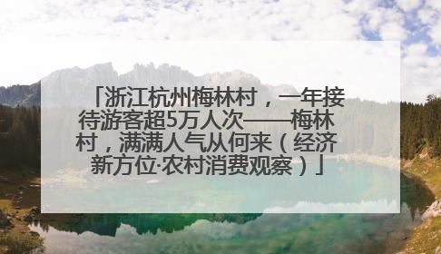 浙江杭州梅林村，一年接待游客超5万人次——梅林村，满满人气从何来（经济新方位·农村消费观察）