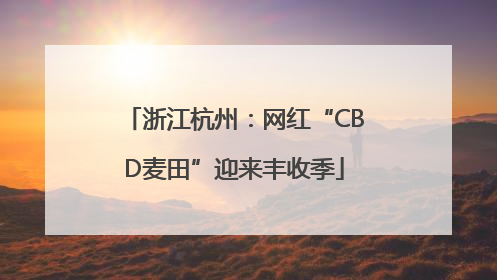 浙江杭州：网红“CBD麦田”迎来丰收季