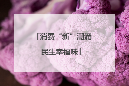 消费“新”潮涌 民生幸福味
