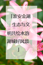 淮安金湖：生态与文明共绘水韵湖城好风景